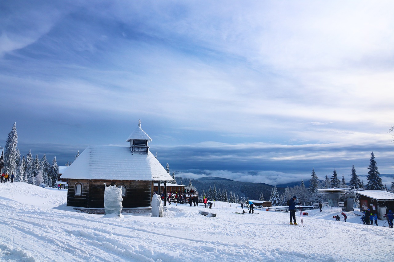 The Serene Beauty of Snow: A GUIDE for Artists